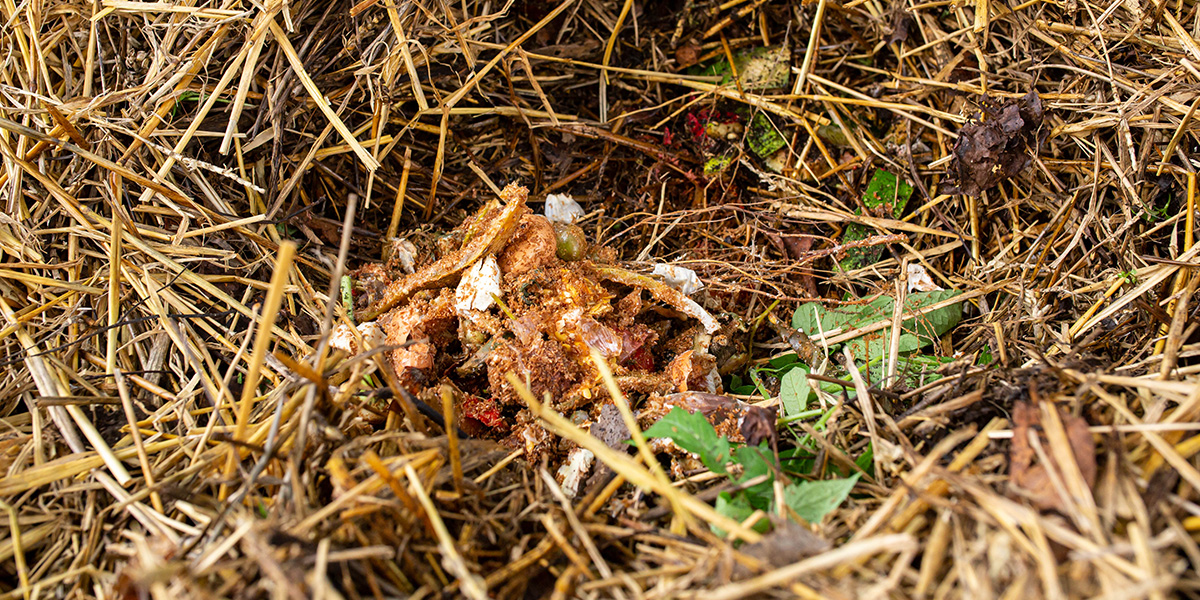 7 ways of how to use bokashi compost fermented mass